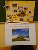 IMG_20141120_070309
