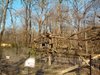 IMG_20150213_095843