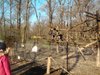 IMG_20150213_095910