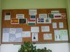 anti-smoking campaign Szeged, HU (6)